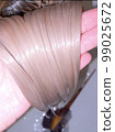Glossy hair with treatment 99025672
