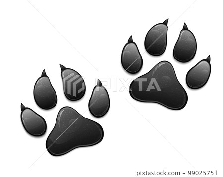 Black animal paw print isolated on white background. Vector illustration 99025751