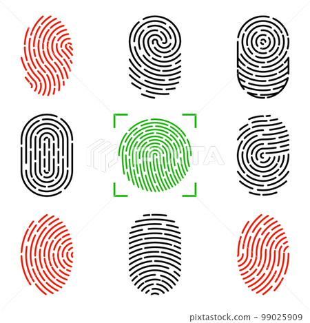 Set of vector illustrations of security fingerprint authentication. Finger identity, technology biometric illustration. Fingerprint template collection Set of vector illustrations of security fingerprint authentication. Finger identity, technology biometric illustration. Fingerprint template collection 99025909
