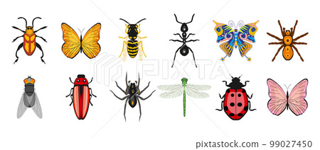Insect set, butterfly ant dragonfly wasp fly ladybug beetle spider. Zoological icons, decor elements, vector 99027450