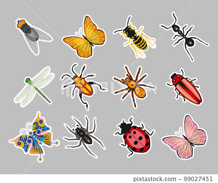 Insect sticker set, butterfly, ant, dragonfly, wasp, ladybug, beetle, spider. Zoological icons, templates, decor elements, vector Insect sticker set, butterfly, ant, dragonfly, wasp, ladybug, beetle, spider. Zoological icons, templates, decor elements, vector 99027451