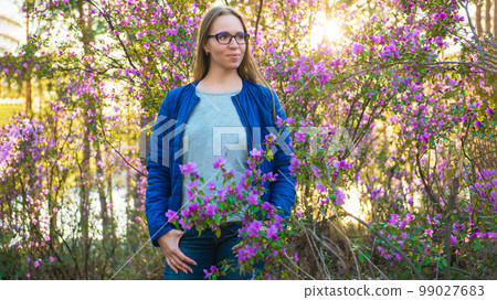 Blooming of Rhododendron flowers 99027683