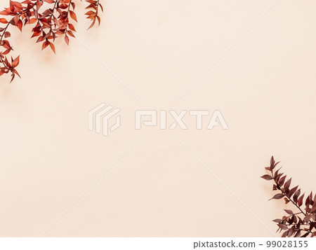 Decorative branch dry plant dark burgundy on beige background Decorative branch dry plant dark burgundy on beige background 99028155