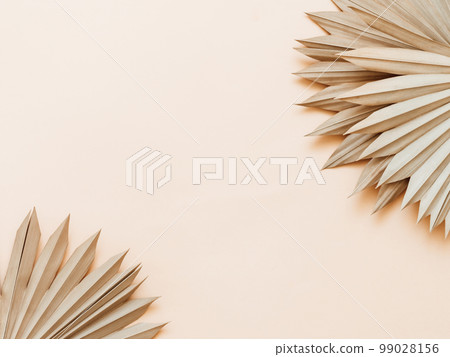Close up of dried fan shaped tropical palm tree leafs. Close up of dried fan shaped tropical palm tree leafs. 99028156