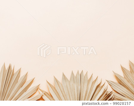 Close up of dried fan shaped tropical palm tree leafs. Close up of dried fan shaped tropical palm tree leafs. 99028157