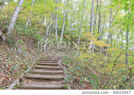 秋葉林間小徑（福島縣里磐梯市中津川溪谷） 99028847