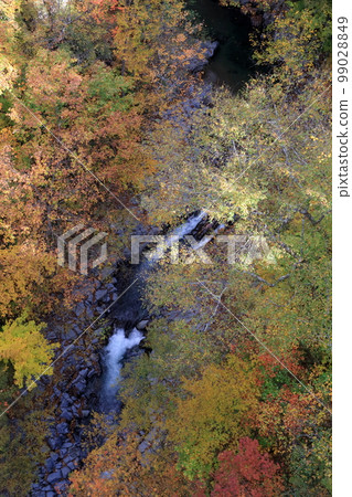 從上面看的紅葉和河水（福島縣里磐梯市中津川溪谷） 99028849