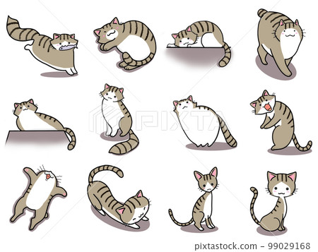 【套裝】白虎斑貓可愛插畫④/12只 【套裝】白虎斑貓可愛插畫④/12只 99029168