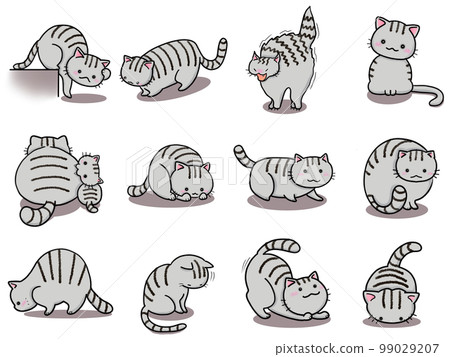 [Set] Cute illustrations of mackerel cats (2) / 12 animals 99029207