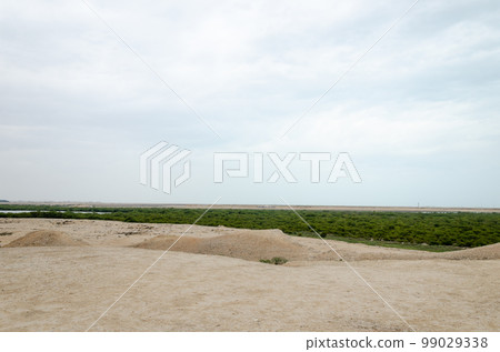 Mesmerizing beauty of Purple Island at Al Khor, Qatar 99029338