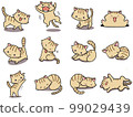 [Set] Cute illustrations of brown tabby cats ③/12 animals 99029439