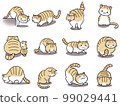 [Set] Cute illustrations of brown tiger white cats ② / 12 animals 99029441