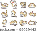 [Set] Cute illustrations of brown tiger white cats ③ / 12 animals 99029442