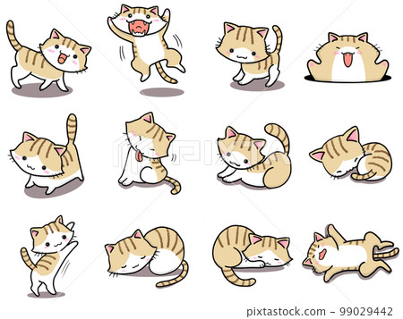 [Set] Cute illustrations of brown tiger white cats ③ / 12 animals 99029442