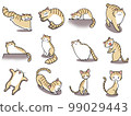 [Set] Cute illustrations of brown tiger white cats ④/12 animals 99029443