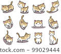 [Set] Cute illustrations of brown tiger white cats (1) / 12 animals 99029444