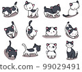 [Set] Cute illustrations of black and white cats (1) / 12 99029491