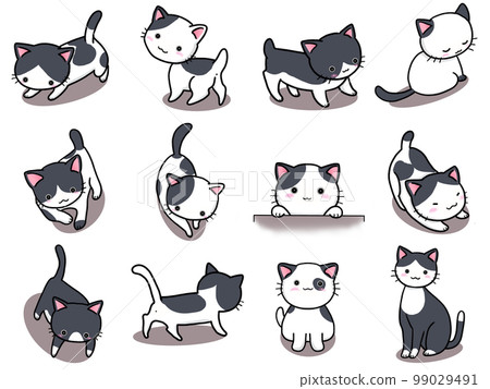 [Set] Cute illustrations of black and white cats (1) / 12 99029491