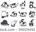 [Set] Cute illustrations of black and white cats ② / 12 animals 99029492