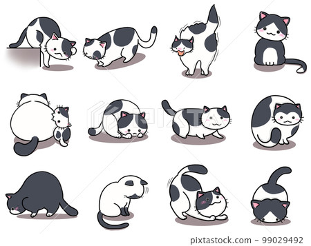 [Set] Cute illustrations of black and white cats ② / 12 animals 99029492