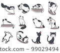 [Set] Cute illustrations of black and white cats ④/12 animals 99029494
