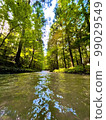一條河流穿過森林 99029549
