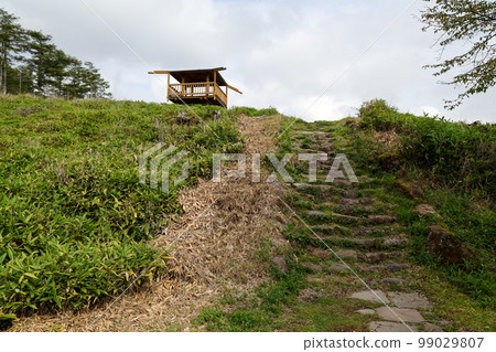 長野縣夏季茅野市日向木場展望台 長野縣夏季茅野市日向木場展望台 99029807