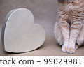Packed gift. Part of a red cat and a heart-shaped box. A gift with love. 99029981