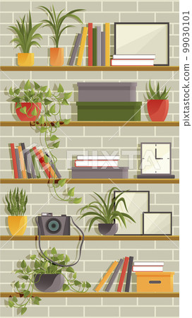 Rack with different items. Shelving unit. Furnishings, bookshelf with potted plants boxes and books 99030101