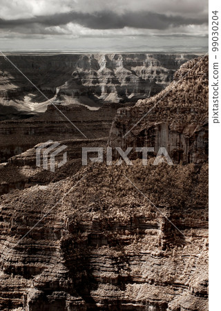 North Rim Infrared Sepia Tone Grand Canyon Arizona 99030204