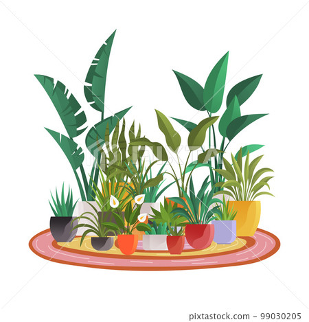 Plant in pot vector flowerpots set. Cartoon flat different indoor potted decorative houseplants 99030205