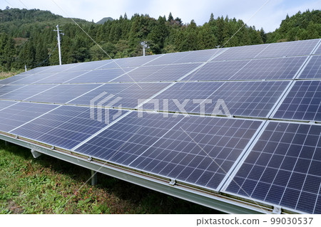 森林中的太陽能 99030537