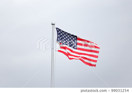 美國國旗在風中飄揚 美國國旗在風中飄揚 99031254
