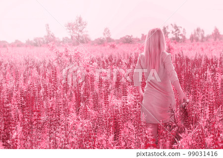 The girl is walking along the purple field The girl is walking along the purple field 99031416