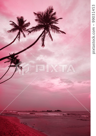 Pink dawn on coast, toned in pink Pink dawn on coast, toned in pink 99031453