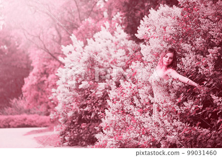woman enjoying blooming lilac, toned in pink woman enjoying blooming lilac, toned in pink 99031460