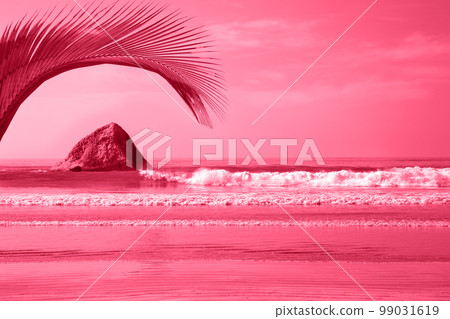 seascape with palm leaf, toned in pink seascape with palm leaf, toned in pink 99031619