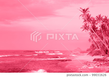 coast with palm trees, toned in pink coast with palm trees, toned in pink 99031626