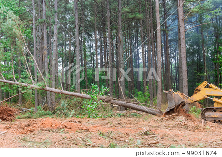 Construction process involved use tractor skid to clear land of uprooted trees in preparation for development subdivision Construction process involved use tractor skid to clear land of uprooted trees in preparation for development subdivision 99031674