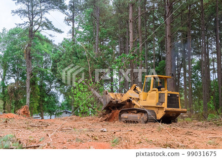 Contractor used tractor skid steers to remove trees from property during construction process in order prepare land for subdivision development. Contractor used tractor skid steers to remove trees from property during construction process in order prepare land for subdivision development. 99031675