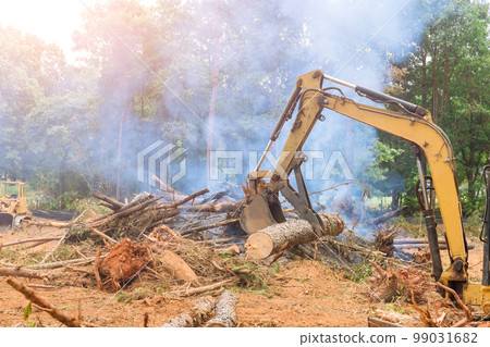Deforestation work on tractor manipulator uproot trees which lifts logs to prepare land for housing construction. Deforestation work on tractor manipulator uproot trees which lifts logs to prepare land for housing construction. 99031682