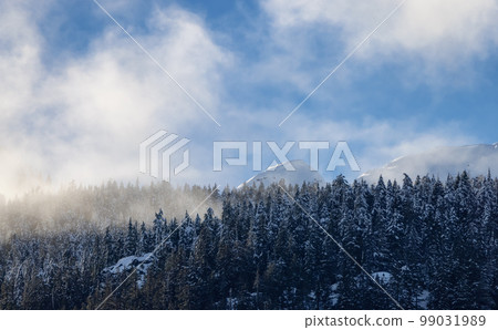 Snow and Cloud covered Canadian Nature Landscape Background 99031989