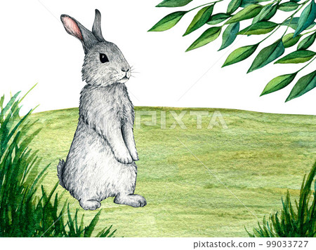 Watercolor wild forest animals: hare, rabbit on forest lawn scene. Woodland hand-painted nature illustration for kids design, postcards, poster and print. Clip art for nursery design. Watercolor wild forest animals: hare, rabbit on forest lawn scene. Woodland hand-painted nature illustration for kids design, postcards, poster and print. Clip art for nursery design. 99033727