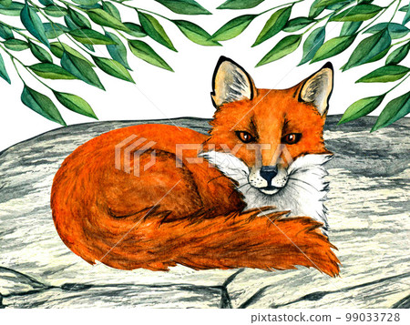 Watercolor wild forest animals: fox on stone. Woodland hand-painted nature illustration for kids design, postcards, poster and print. Clip art for nursery design. 99033728