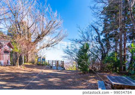 從東京高尾山 1 號線金平台公園眺望八王子市 99034784