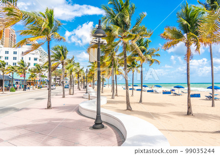 Seafront beach promenade with palm trees on a sunny day in Fort Lauderdale Seafront beach promenade with palm trees on a sunny day in Fort Lauderdale 99035244