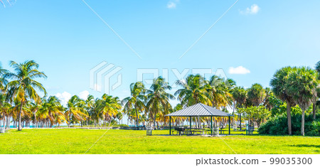 Beautiful Crandon Park Beach in Key Biscayne in Miami Beautiful Crandon Park Beach in Key Biscayne in Miami 99035300