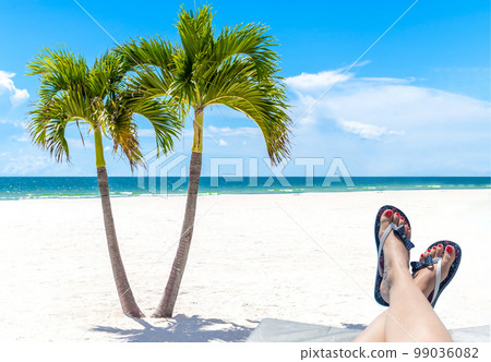 Twin Palm Trees in Florida beach with female feet sunbathing on foreground, USA with copy space 99036082