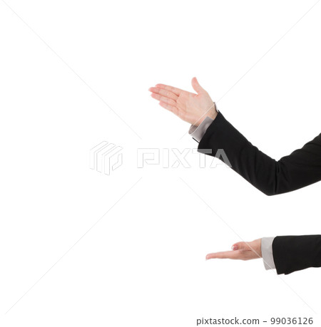 Business woman hands pointing at copyspace, isolated on white Business woman hands pointing at copyspace, isolated on white 99036126