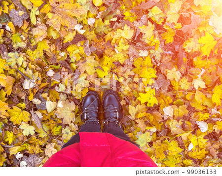 Top view of leather shoes standing on autumn leaves in park Top view of leather shoes standing on autumn leaves in park 99036133